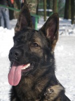 /album/fotogalerie/p1312139-jpg/