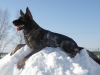 /album/fotogalerie/p1312146-jpg/