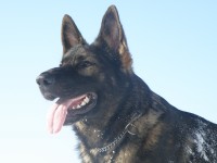 /album/fotogalerie/p1312143-jpg/