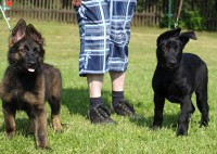 /album/fotogalerie/a7040673-jpg/