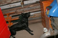 /album/fotogalerie/img-8245-jpg/