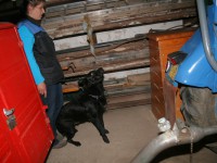 /album/fotogalerie/img-8246-jpg/